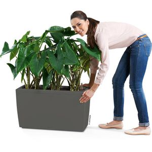 Produktbild für Übertopf Lechuza CARARO, anthrazit metallic, 75 x 43 x 30 cm