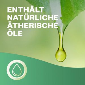 Produktbild für Raumduft Airwick Active Fresh Duftspray, 237 ml