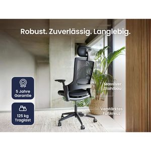 Produktbild für Bürostuhl Ergotopia NextBack, RGONB-S