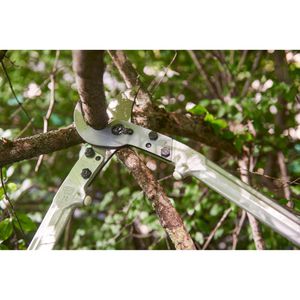 Produktbild für Astschere FELCO 22