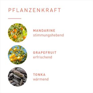Produktbild für Raumduft Primavera 19507 Raumspray Bio