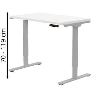 Produktbild für Schreibtisch FlexiSpot E1S Pro, weiß / grau