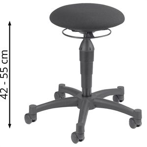 Produktbild für Fitness-Hocker Topstar Body Balance 10, BAL10 T20