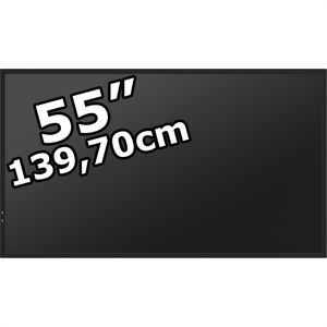 Digital-Signage Hisense 55DM66D, 55 Zoll