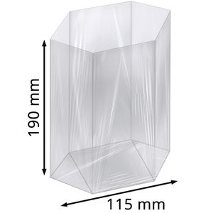 Produktbild für Geschenktüte Folia 481/00 neutral transparent