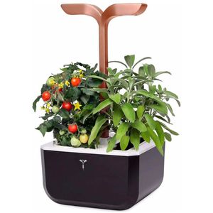 Anzuchtkasten Veritable Exky Smart, 20x18,2x45,6cm