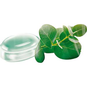 Produktbild für Kräuterbonbons Wick Atemfrei Eukalyptus