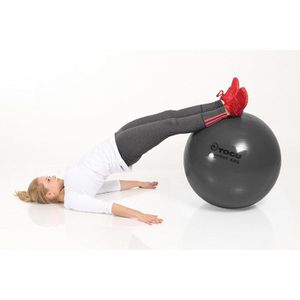 Produktbild für Gymnastikball Togu Powerball ABS