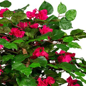 Produktbild für Kunstpflanze Creativ-green Bougainvillea für außen