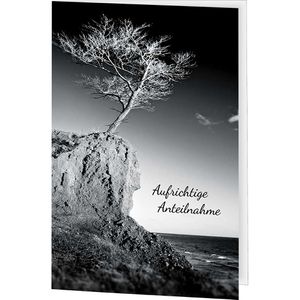 Produktbild für Trauerkarten LUMA 1412