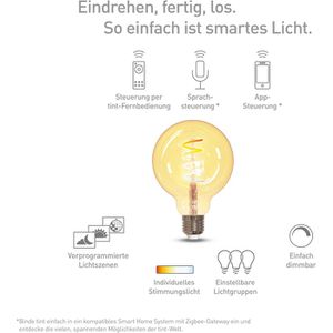 Produktbild für LED-Lampe tint Filament Globe, E27