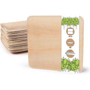 Einwegteller Biozoyg eckig, Palmblatt