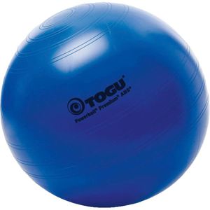 Produktbild für Gymnastikball Togu Powerball Premium ABS