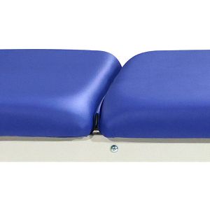 Produktbild für Behandlungsliege Teqler T146552, aus Metall, dunkelblau