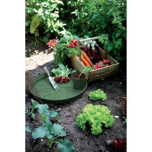 Produktbild für Blumentopf-Untersetzer elho Green Basics, grün, Ø 11,4 cm