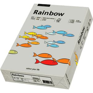 Produktbild für Kopierpapier Papyrus Rainbow 88042791