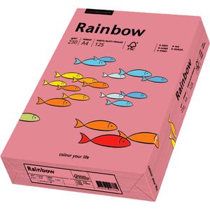 Produktbild für Kopierpapier Papyrus Rainbow 88376517