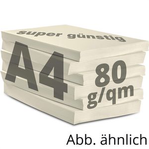 Produktbild für Kopierpapier Papyrus Rainbow 88042249