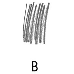 Produktbild für Druckbleistiftminen Staedtler 250 05, B