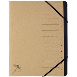 Produktbild für Ordnungsmappe Pagna Pur 40061-11, A4