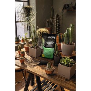 Produktbild für Pflanzsubstrat Lechuza CACTUSPON 19546, 6 Liter