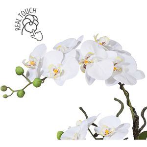 Creativ-green Kunstblume Orchidee, Phalaenopsis, weiß, – in 42 Böttcher Keramik-Schale, cm AG Höhe