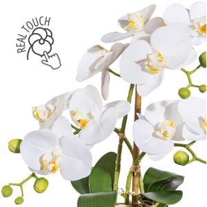 Creativ-green Kunstblume Orchidee, Ovalvase, 30 Böttcher in – weiß, cm Phalaenopsis, AG Höhe silberner