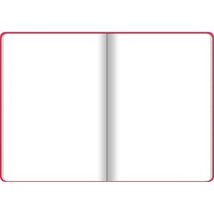 Produktbild für Notizbuch Sigel Conceptum CO315, Karton Softcover