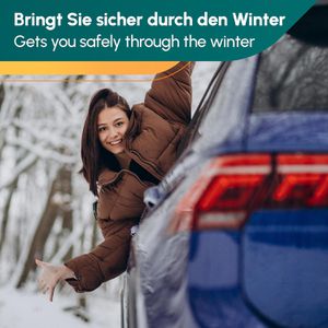 Produktbild für Scheibenfrostschutz INOX Arctic