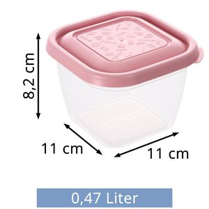Produktbild für Frischhaltedose Kigima mehrfarbig, aus Kunststoff