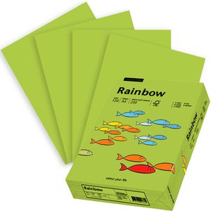 Kopierpapier Papyrus Rainbow 88042612