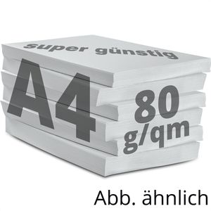 Produktbild für Kopierpapier Papyrus Rainbow 88042783