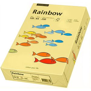 Produktbild für Kopierpapier Papyrus Rainbow 88042302