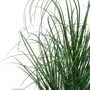 Produktbild für Kunstpflanze Creativ-green Grasbusch