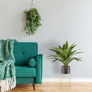Produktbild für Kunstpflanze Creativ-green Asplenium