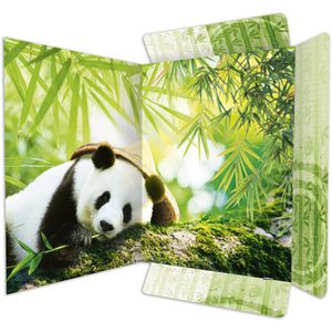 Produktbild für Zeichenmappe RNK 45376, Panda, A3