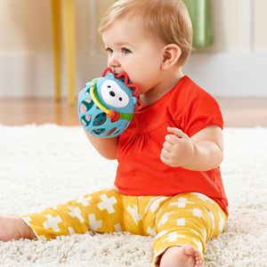 Produktbild für Motorikspielzeug Skip-Hop S303101, Rasselball Igel