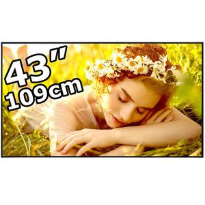 Produktbild für Digital-Signage LG 43UL5Q-E, 43 Zoll