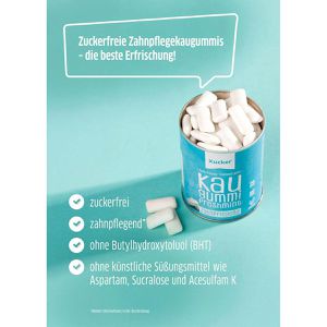 Produktbild für Kaugummis Xucker Freshmint ohne Titandioxid