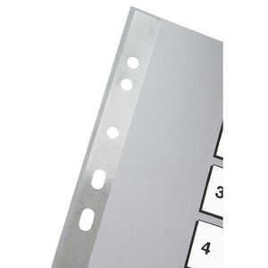 Produktbild für Register Esselte 100106, A4, 1-12