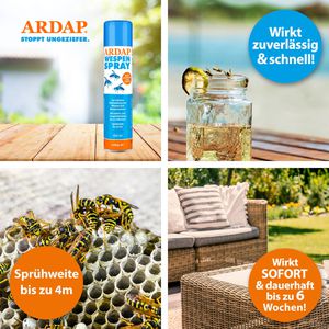 ARDAP Insektenspray Wespenspray, wirkt gegen Wespen & Wespennester, 400ml –  Böttcher AG