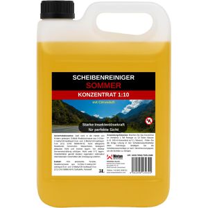 Scheibenreiniger