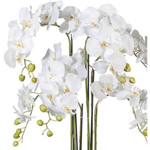 Produktbild für Kunstblume Creativ-green Orchidee, Phalaenopsis