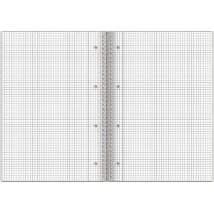 Produktbild für Collegeblock Herlitz GREENline Ginkgo, 300006031, A5