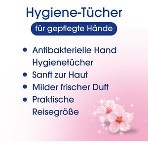 Produktbild für Reinigungstücher Sagrotan Hygiene-Tücher, feucht