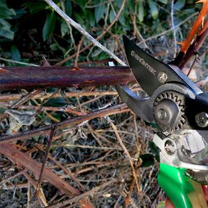 Produktbild für Gartenschere Grüntek FALKE, 295108215, Bypass