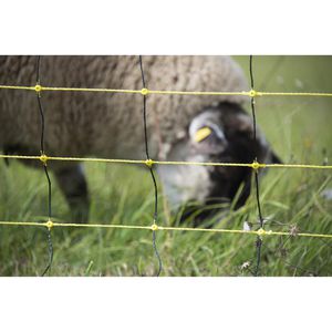 Produktbild für Weidezaunnetz Horizont horinetz high energy 14590, Schafnetz