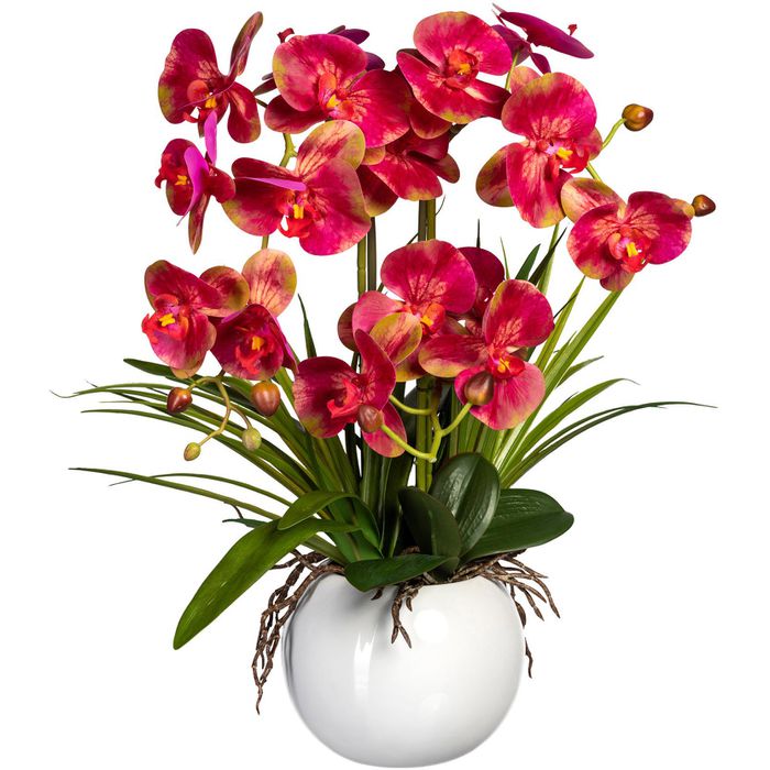 Creativ-green Kunstblume Orchidee, Phalaenopsis, pink-rot, im Keramik-Topf, Höhe 58 cm – Böttcher AG