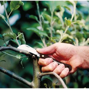 Produktbild für Gartenmesser Fiskars K62, 1001623, Gartenhippe