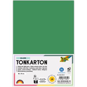 Fotokarton Folia 6122/10 53, 50 x 70 cm